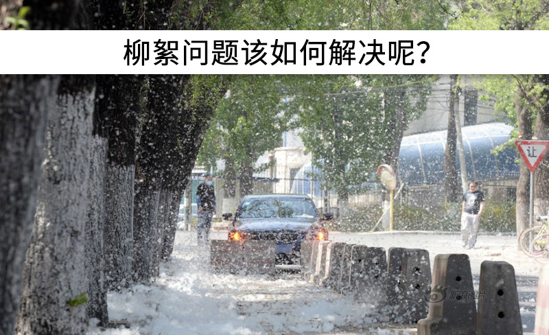 遇到“柳絮”不慌!這樣做，節能維修費用